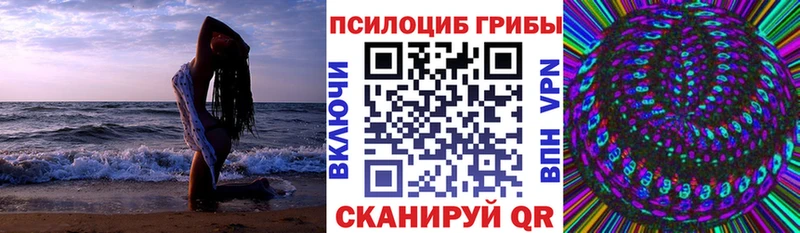 Псилоцибиновые грибы Magic Shrooms  где купить наркотик  ОМГ ОМГ зеркало  Терек 
